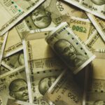 India's economic. constraint