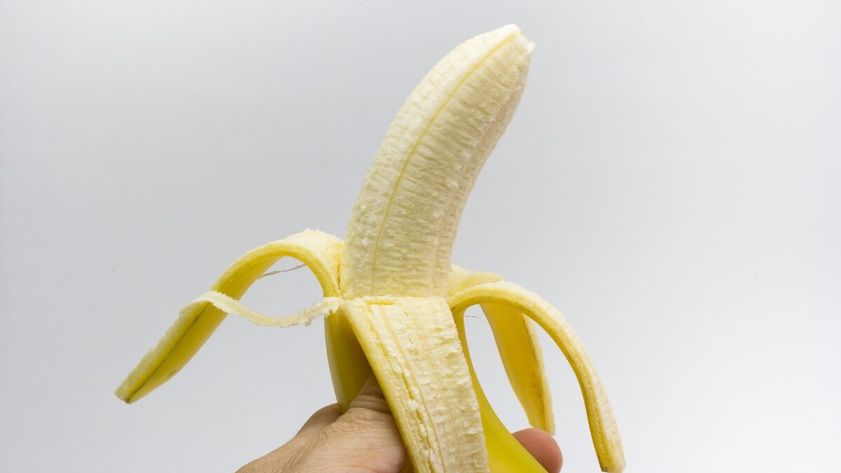 economic news roundup and banana emissions