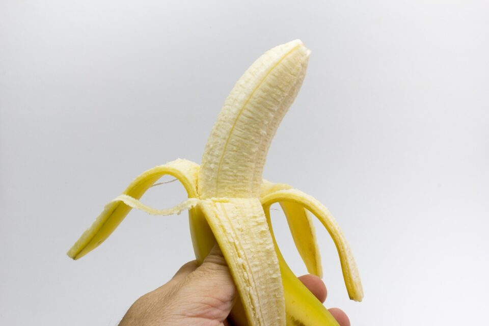economic news roundup and banana emissions