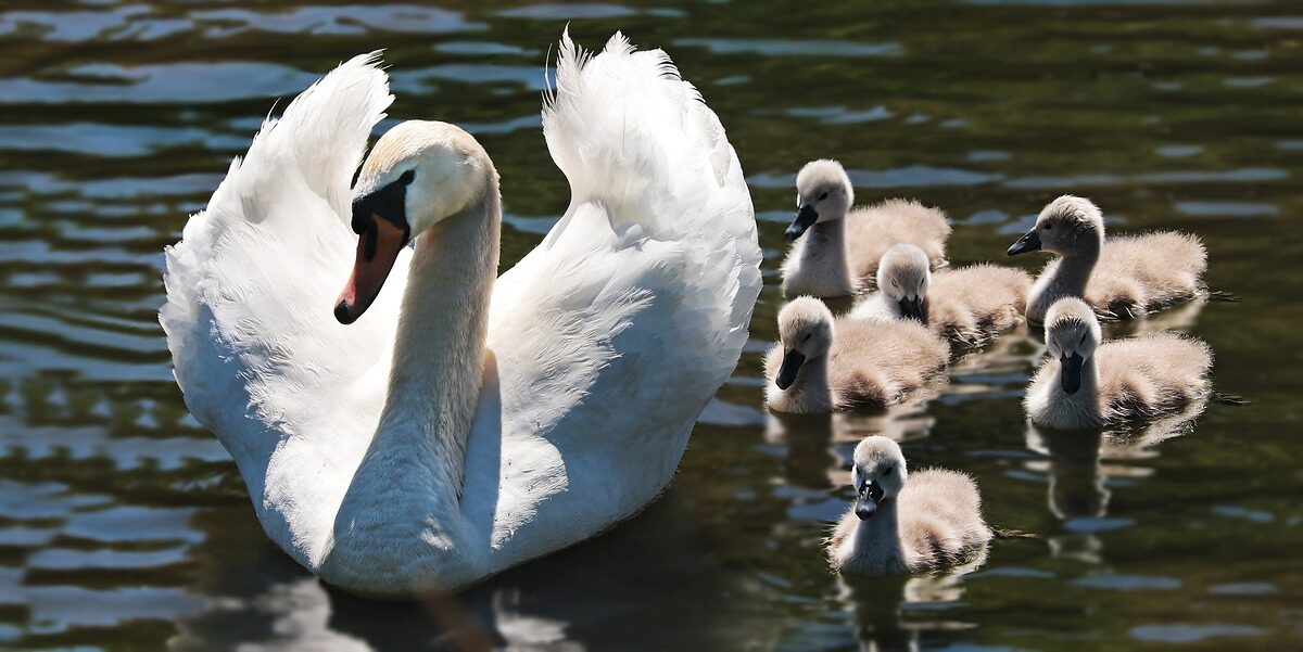 Weekly Economic News Roundup and baby names