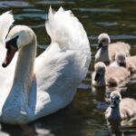 Weekly Economic News Roundup and baby names