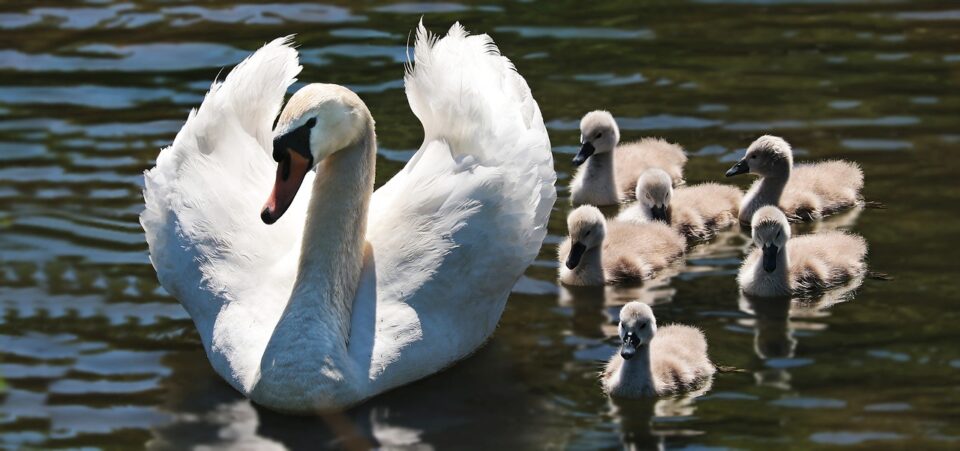 Weekly Economic News Roundup and baby names