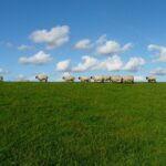 Weekly Economic News Roundup and line sitting