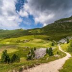 Our Weekly Economic News Roundup and pathway that avoids middle income trap