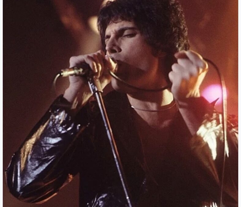 Freddie Mercury auctionc