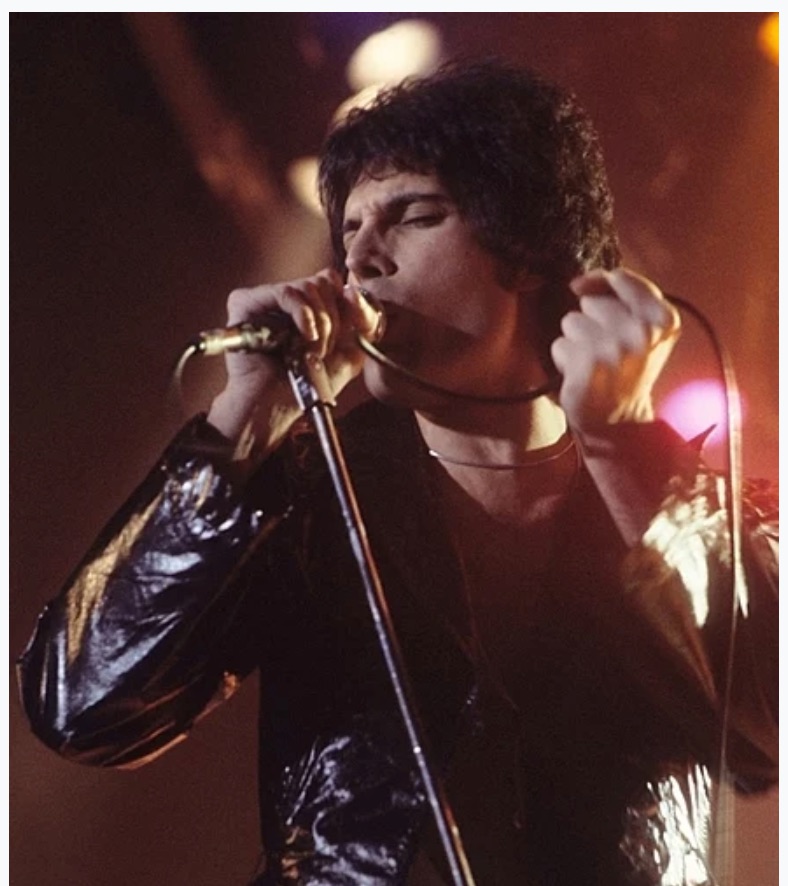 Freddie Mercury auctionc