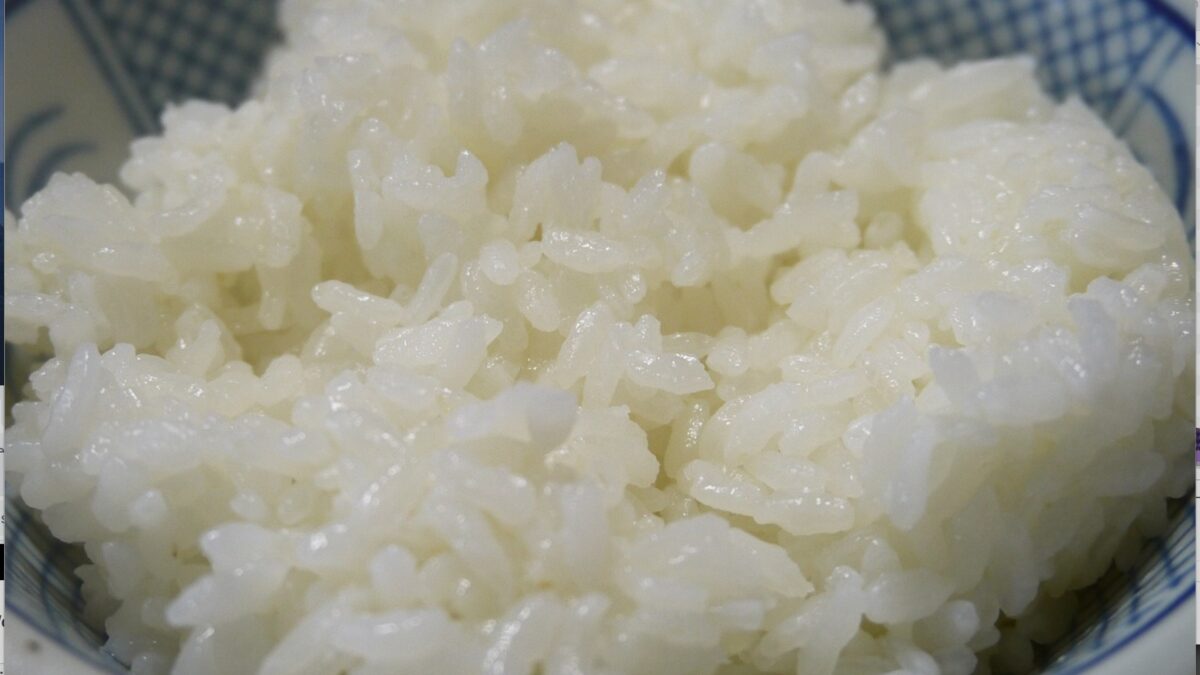 India's rice export ban