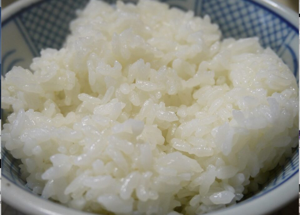 India's rice export ban