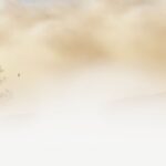 Weekly Economic News Roundup and foggy emissions reporting