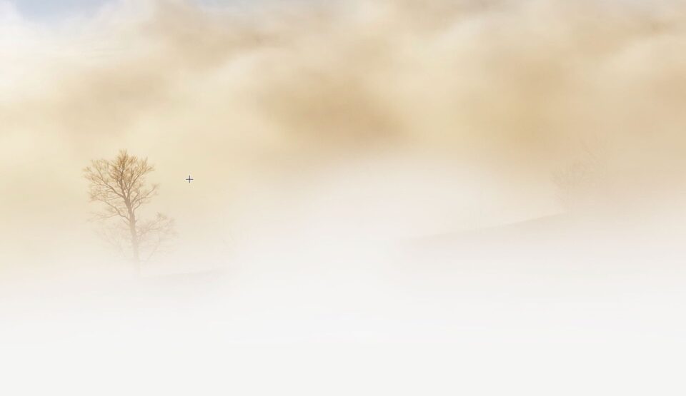 Weekly Economic News Roundup and foggy emissions reporting