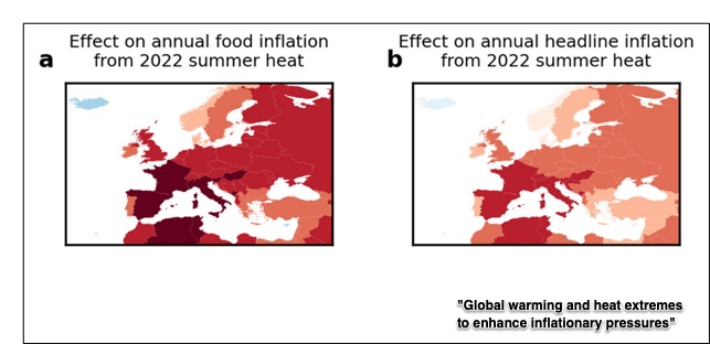 rising food prices 2022