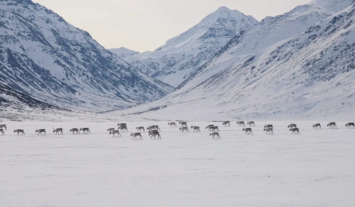 Gates of the Arctic National Park & Preserve