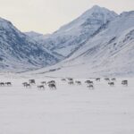 Gates of the Arctic National Park & Preserve