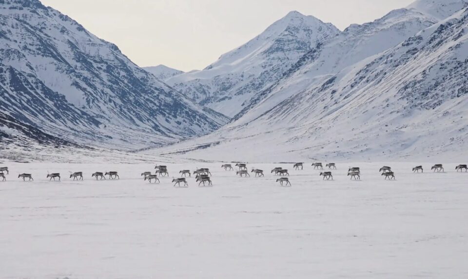 Gates of the Arctic National Park & Preserve