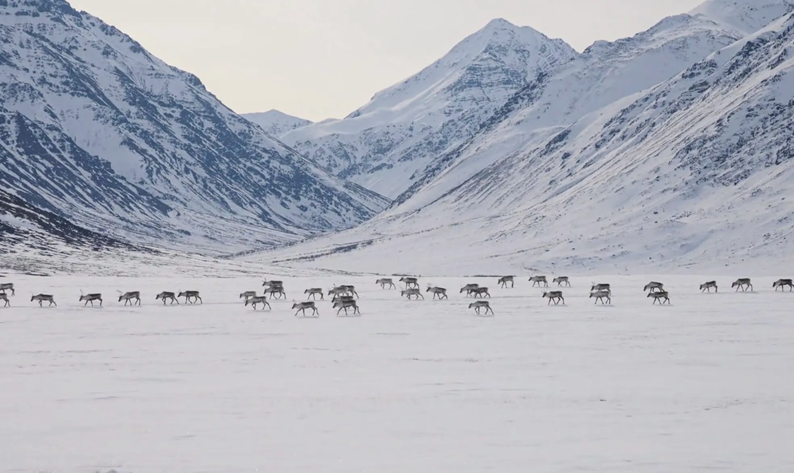 Gates of the Arctic National Park & Preserve