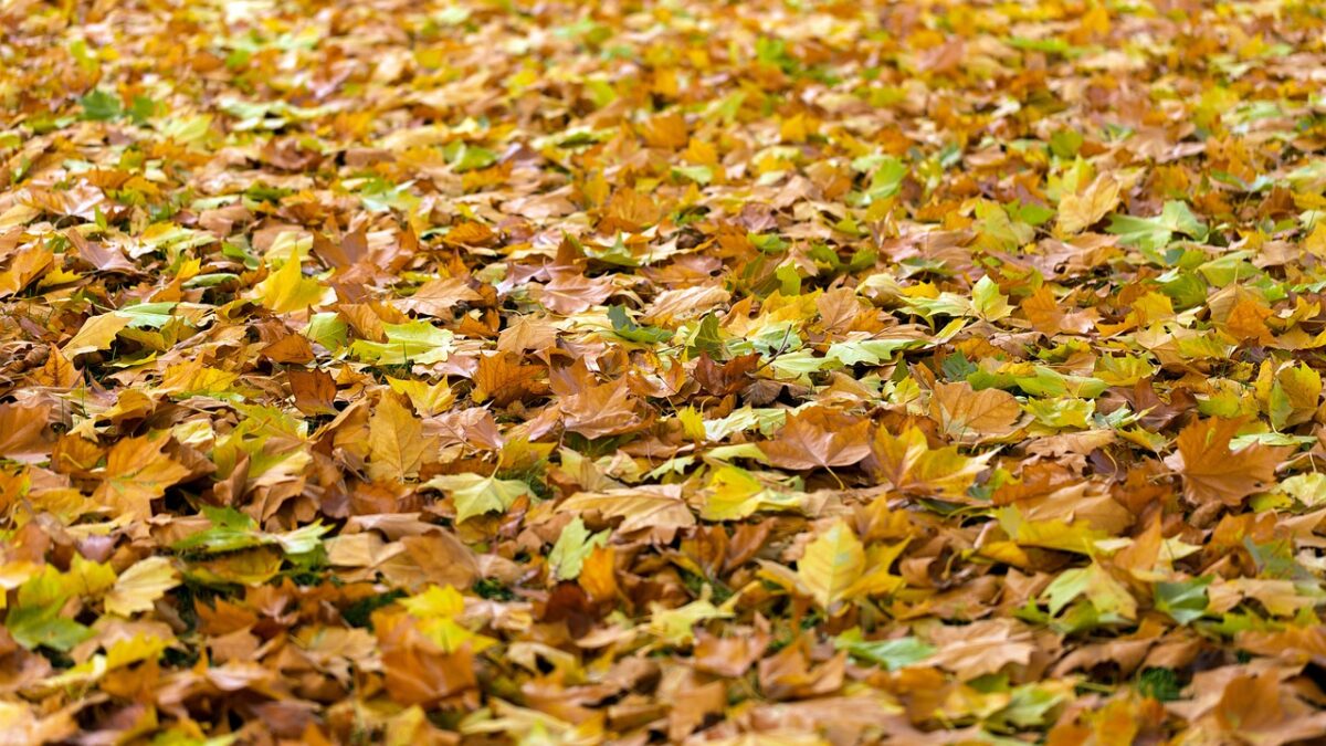 Weekly Economic News Roundup and leaf blower problems