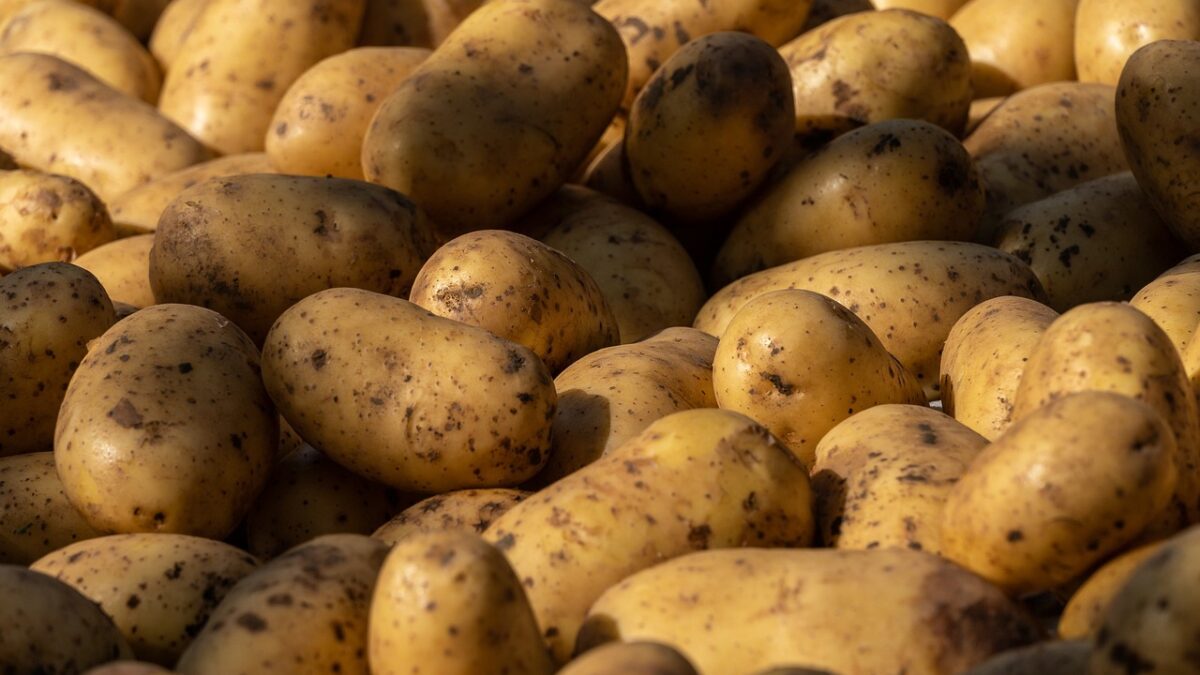 Weekly Economic News Roundup and German potato glut