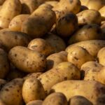 Weekly Economic News Roundup and German potato glut