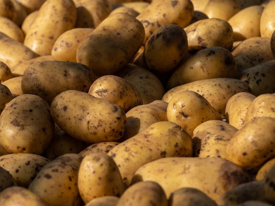 Weekly Economic News Roundup and German potato glut
