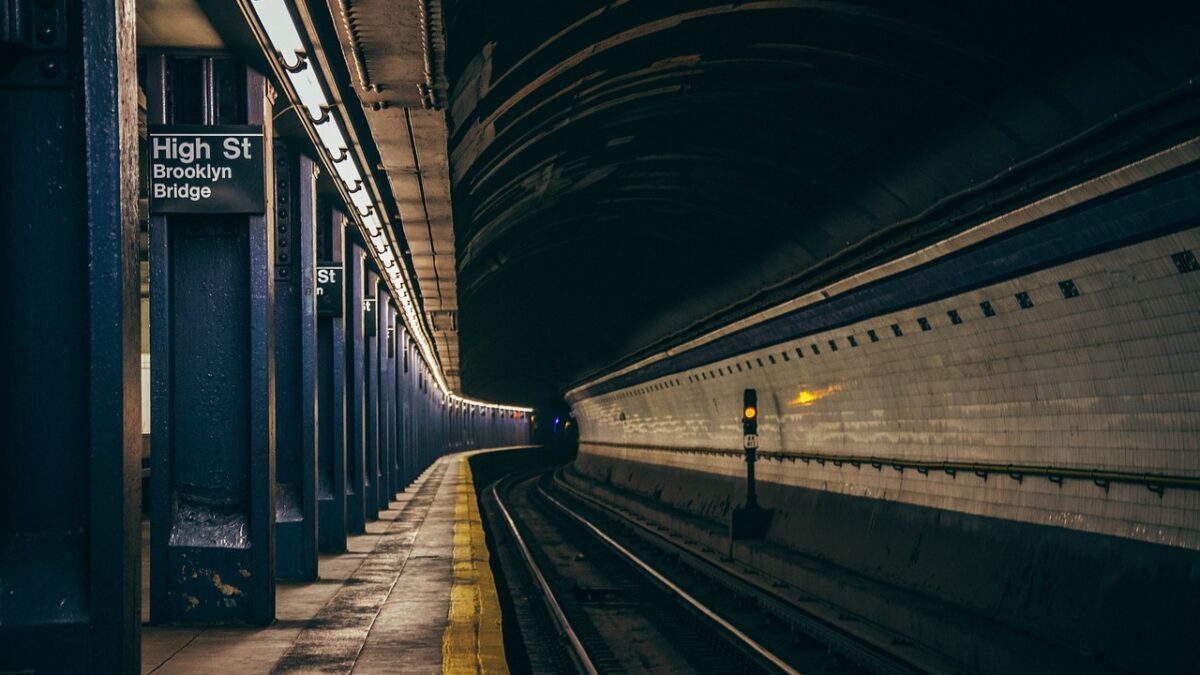 fare evasion