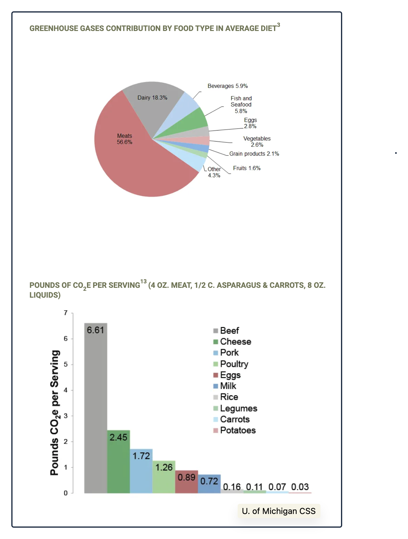 food footprint