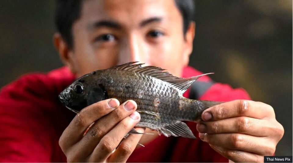 invasive species