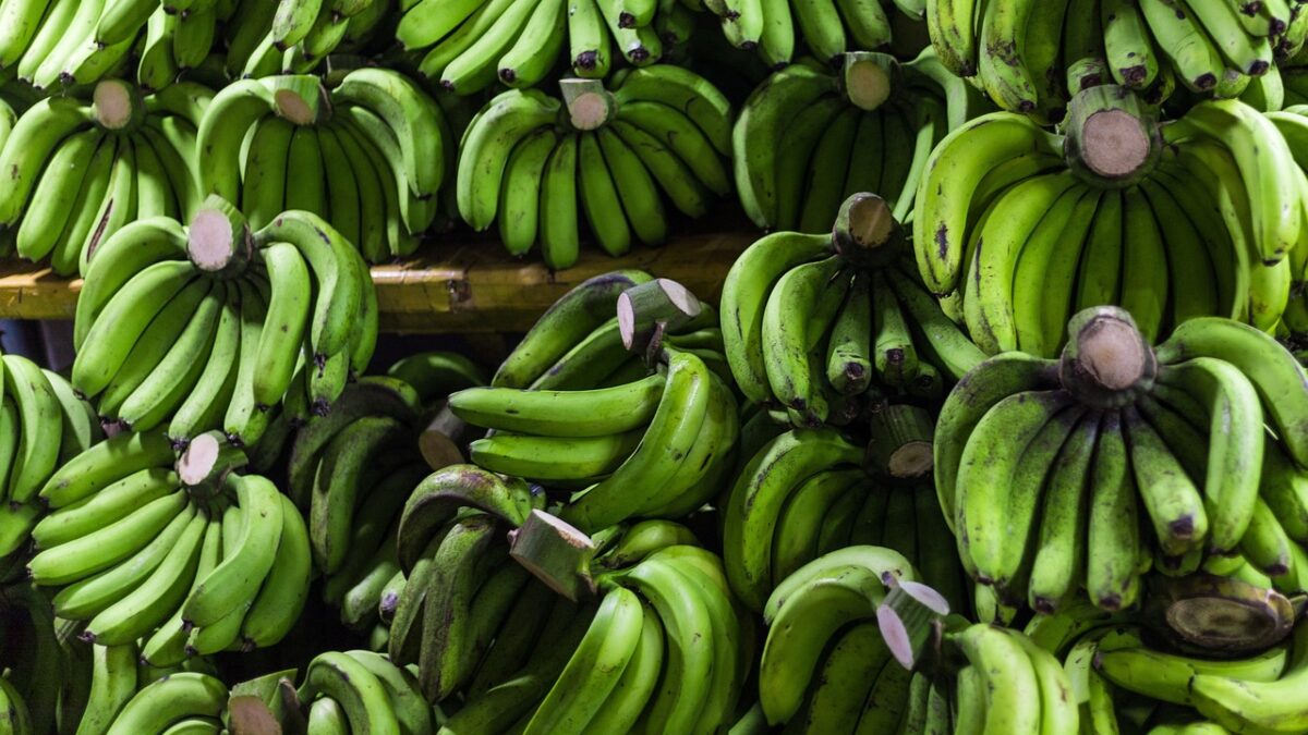 Weekly Economic News Roundup and microfinance
