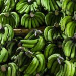 Weekly Economic News Roundup and microfinance