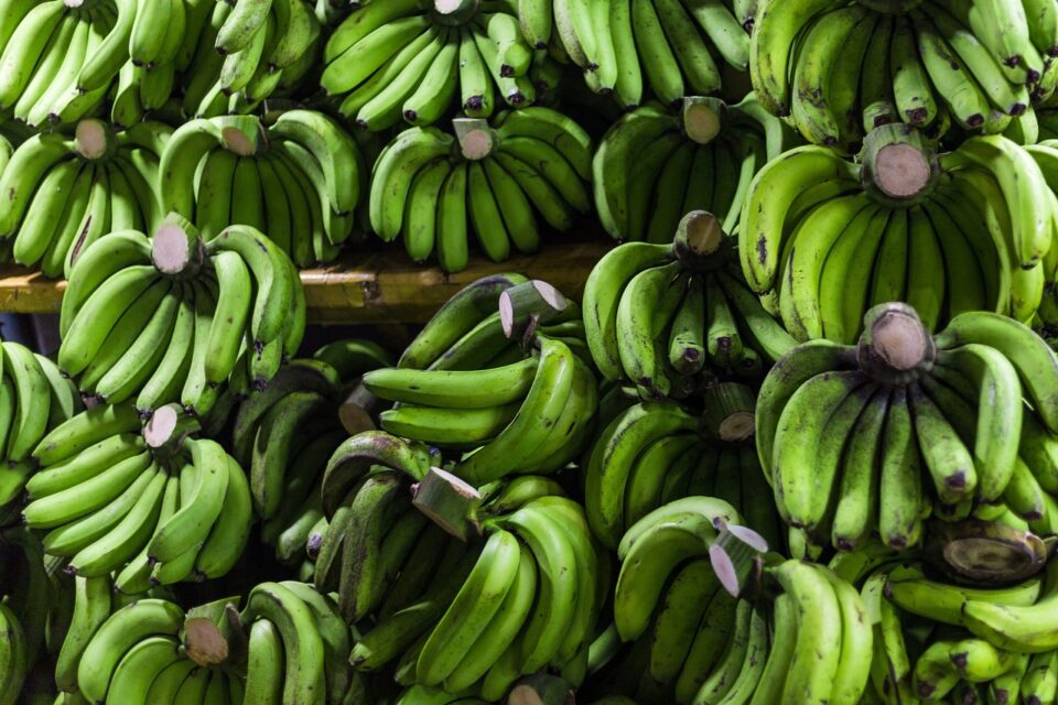 Weekly Economic News Roundup and microfinance