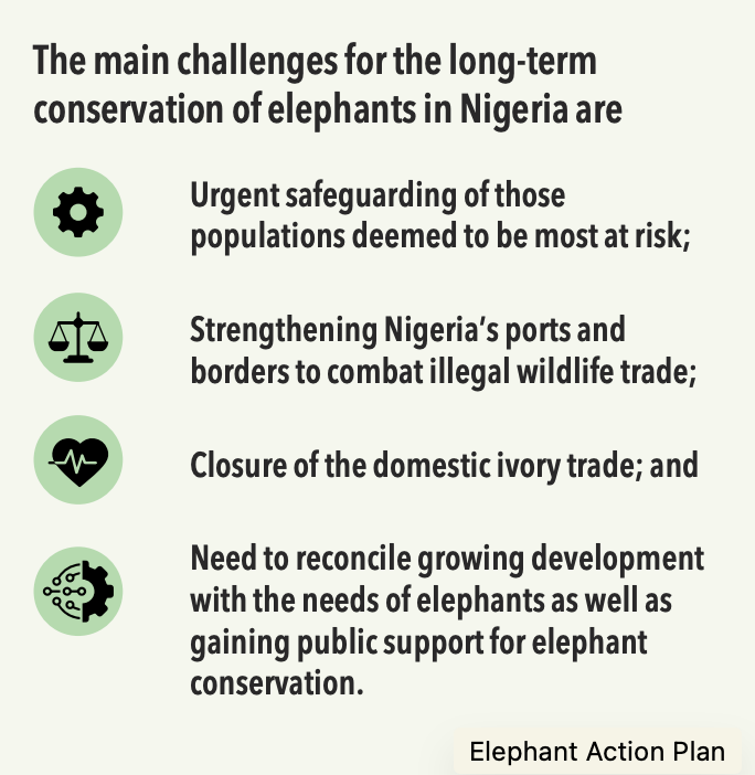 Nigeria's elephants