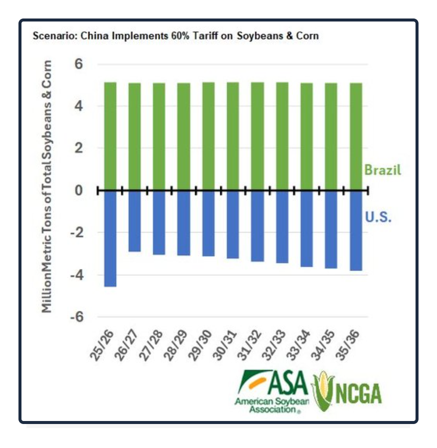 impact of tariffs