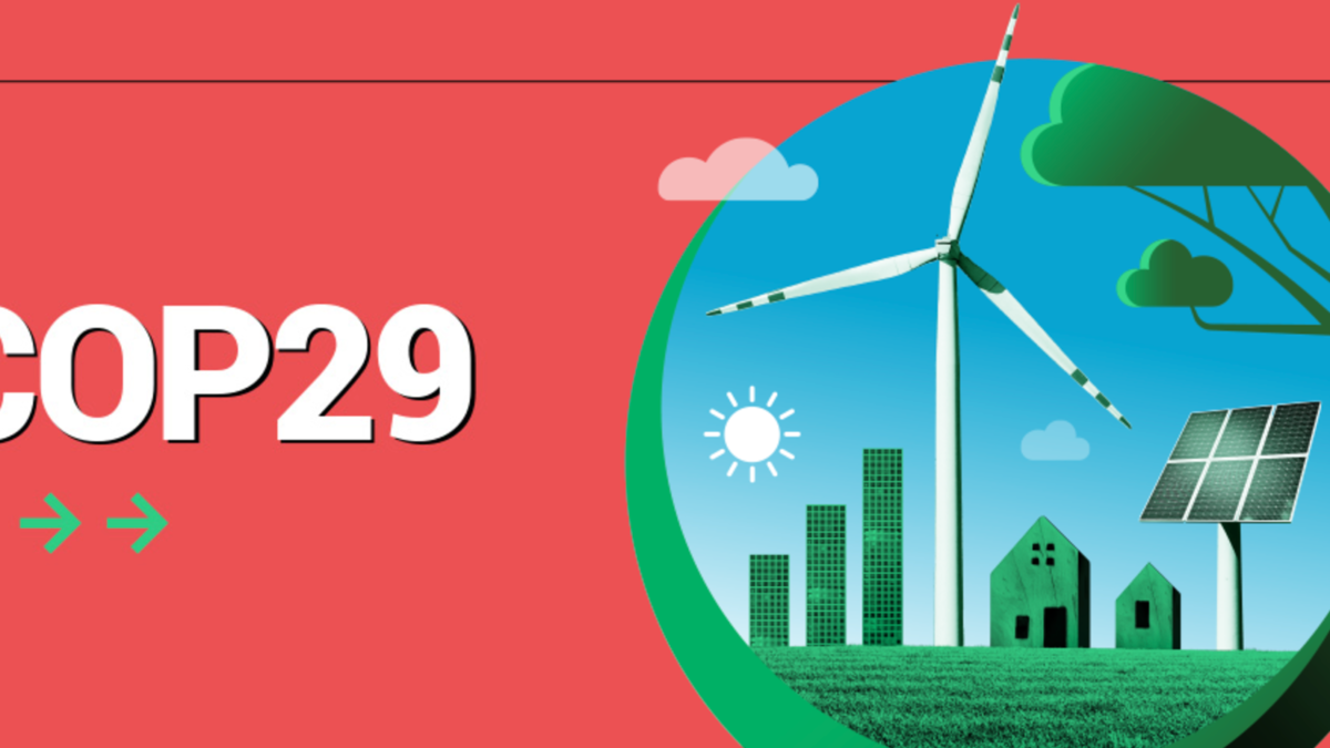 COP29