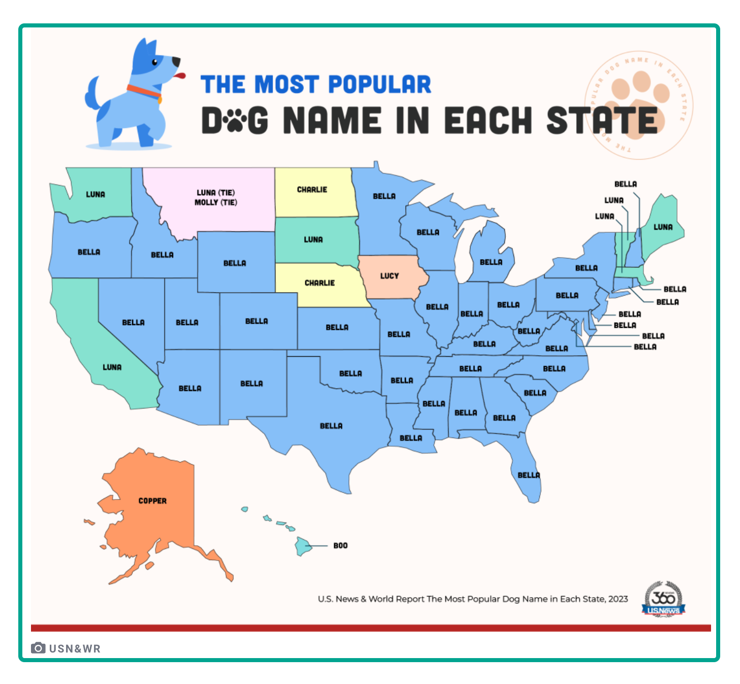 popular dog names