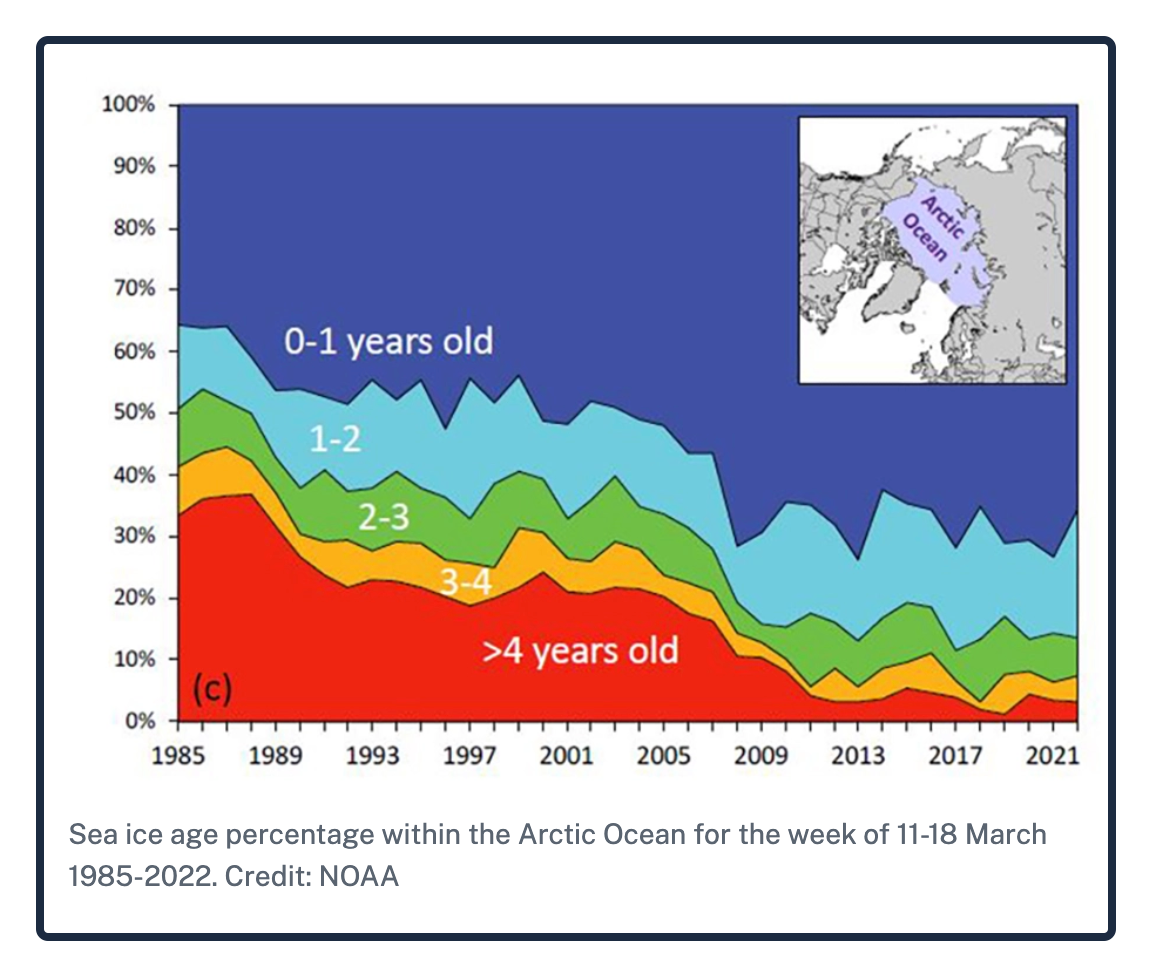 the Arctic economy