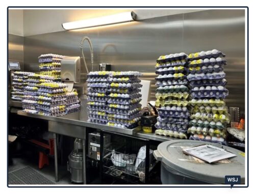 smuggled eggs