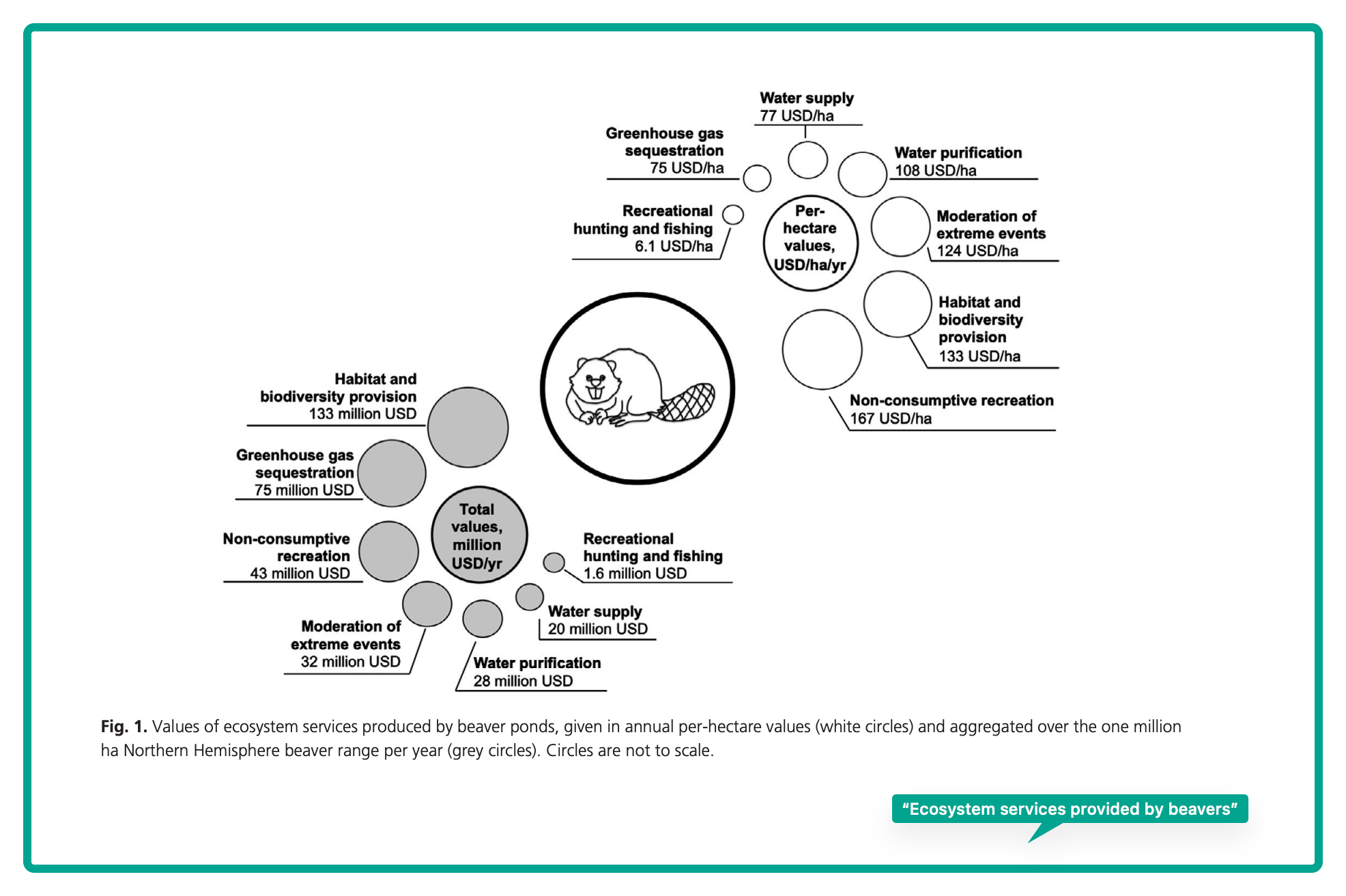 The value of an ecosystem