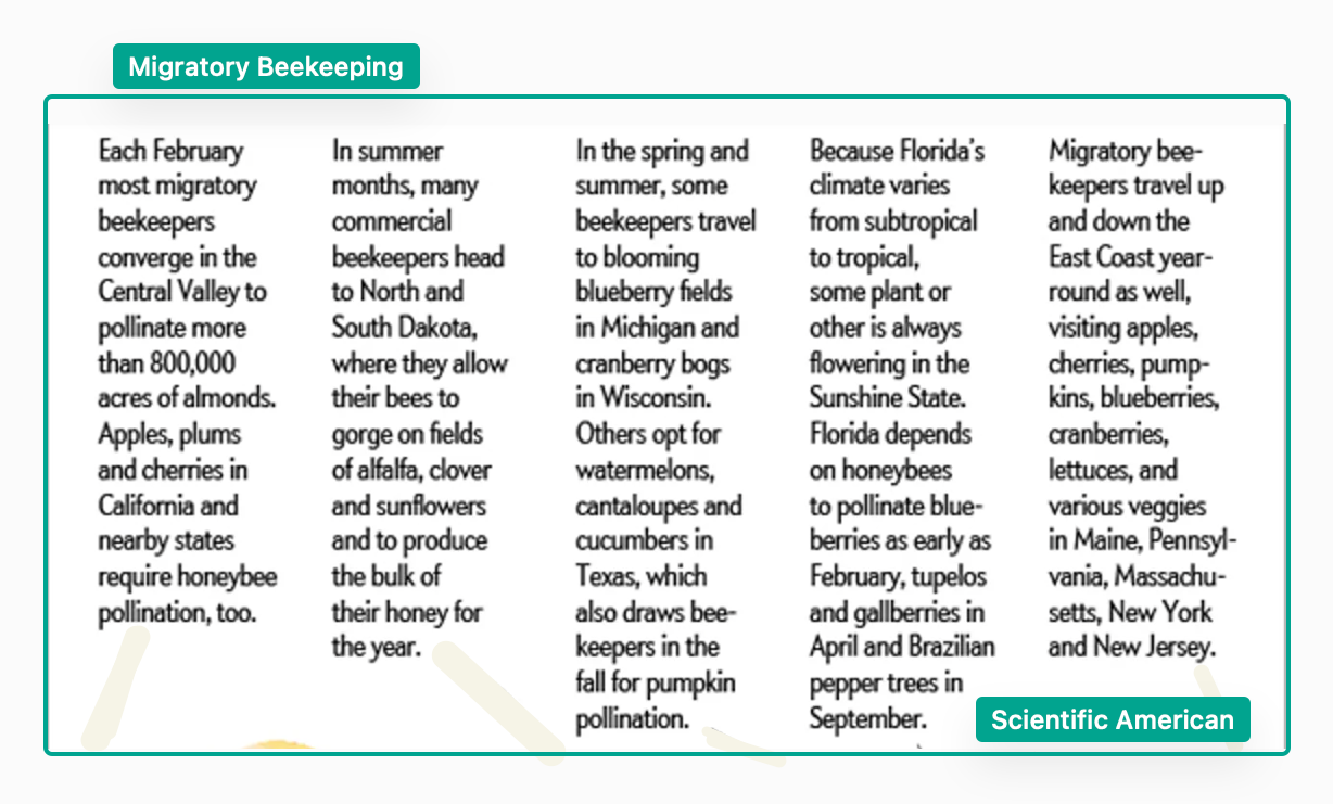 honey bee worries
