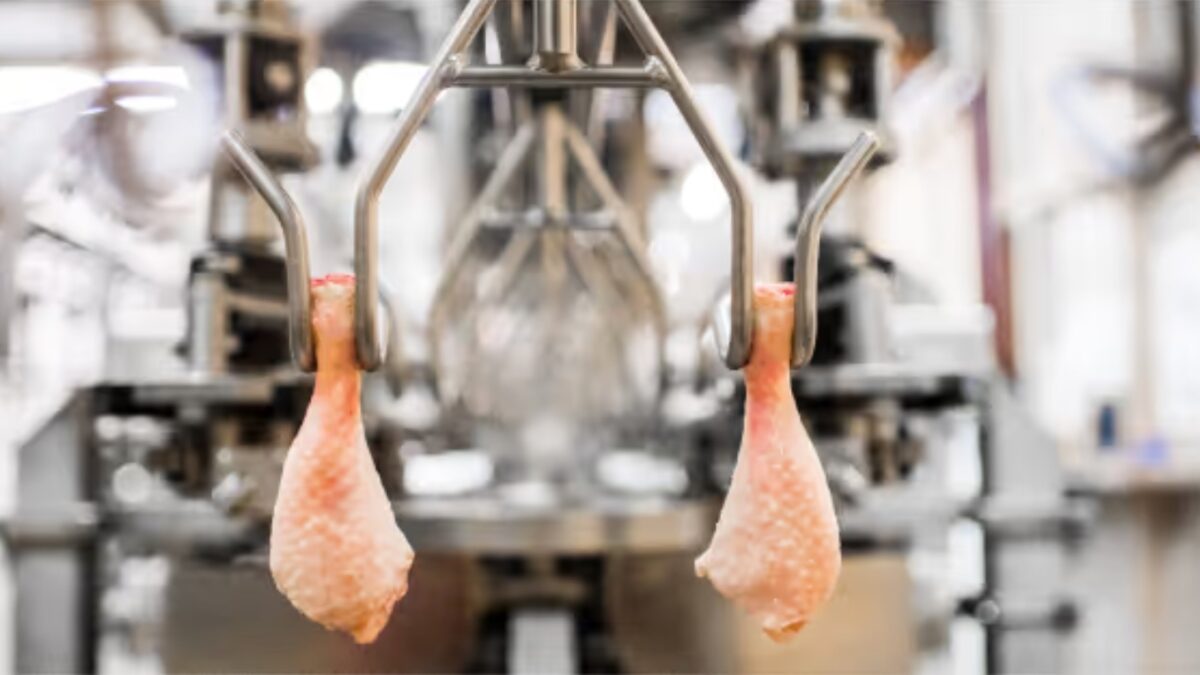Weekly Economic News Roundup and chicken economics