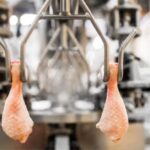 Weekly Economic News Roundup and chicken economics