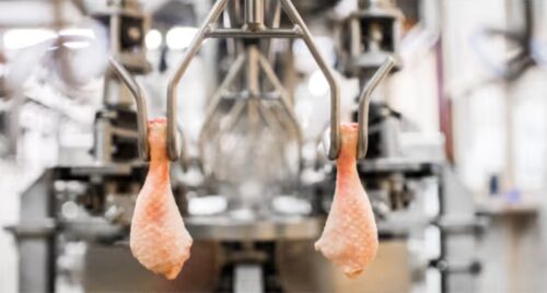 Weekly Economic News Roundup and chicken economics