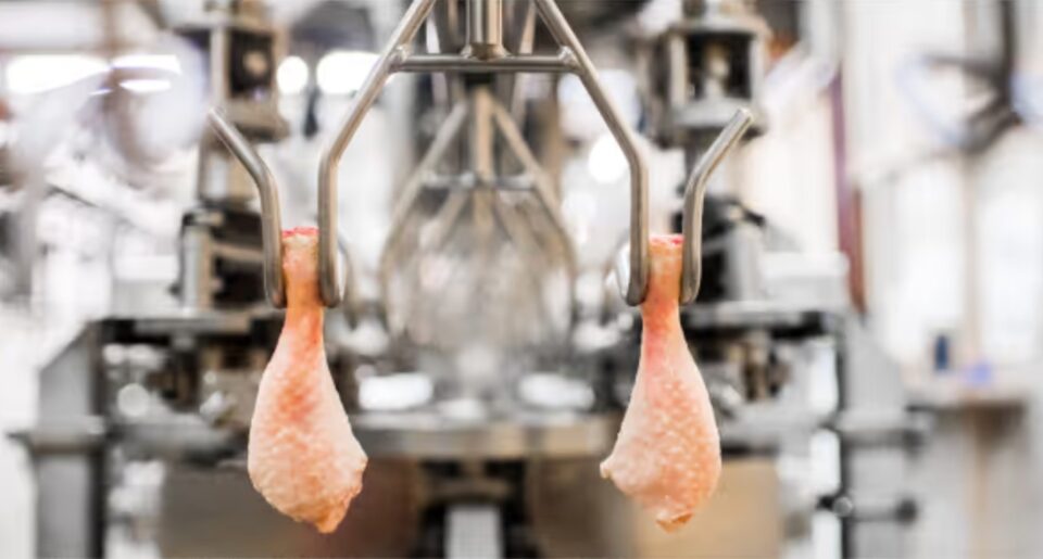 Weekly Economic News Roundup and chicken economics
