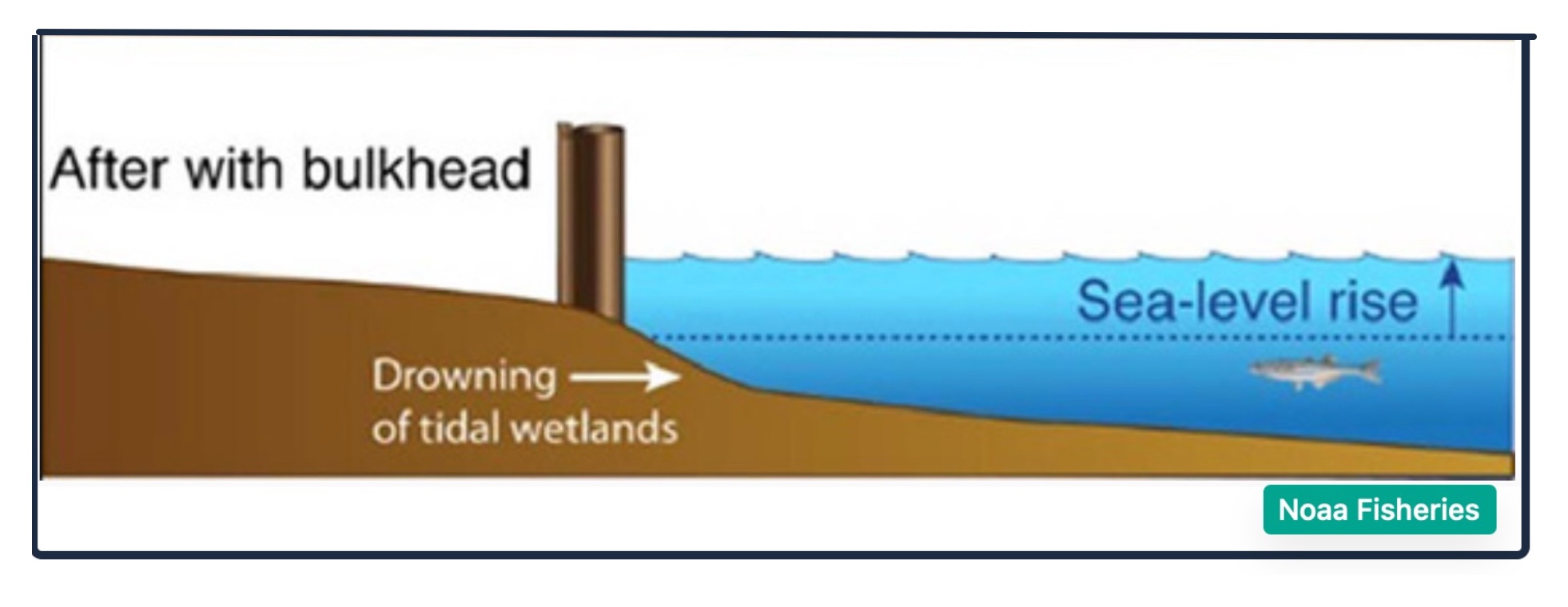 rising sea level tradeoffs