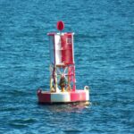 Weekly Economic News Roundup and buoy removal