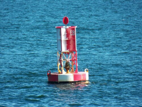 Weekly Economic News Roundup and buoy removal