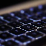 Anguila's AI url