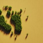 Weekly Economic News Roundup and Where Carbon Hoofprints and Footprints Change Emissions | econlife