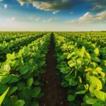 Weekly Economic News Roundup and soybean markets
