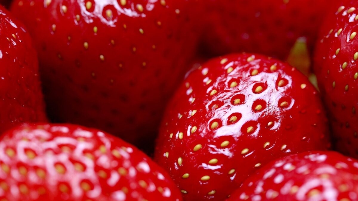 fruit spending