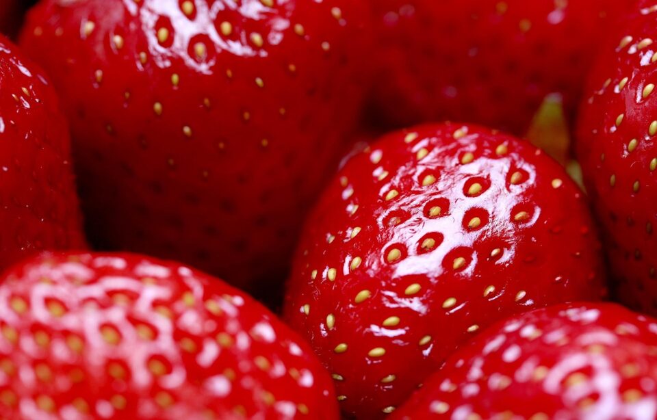 fruit spending