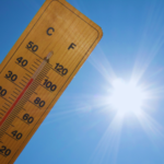 Weekly Economic News Roundup and Bears, Nuts, Chocolate, and Climate Change | econlife